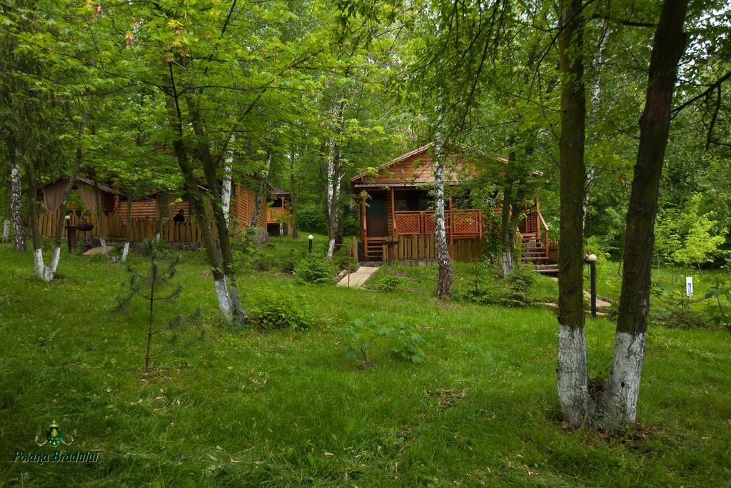 Poiana Bradului Villa Tohatin Exteriör bild